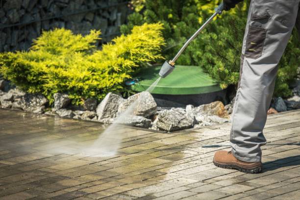 Best Oil Spill Cleanup  in Calumet City, IL
