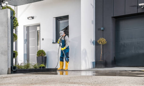 Best Soft Washing  in Calumet City, IL